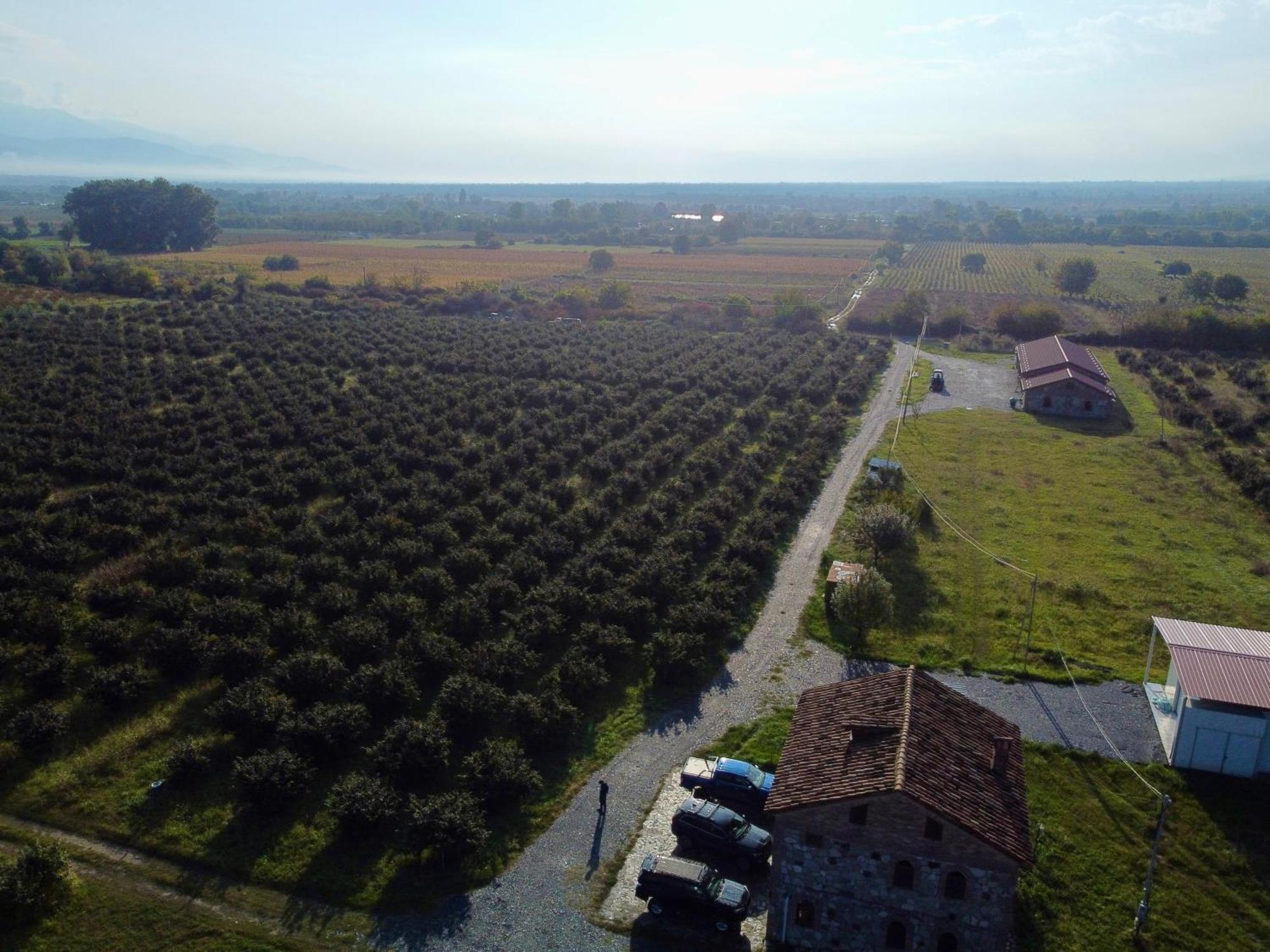 Mestvireni Telawi Zewnętrze zdjęcie